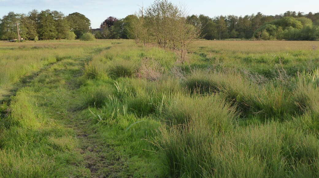 Darsham Marshes is a nature reserve south of Darsham in Suffolk. It is managed by the Suffolk Wildlife Trust.