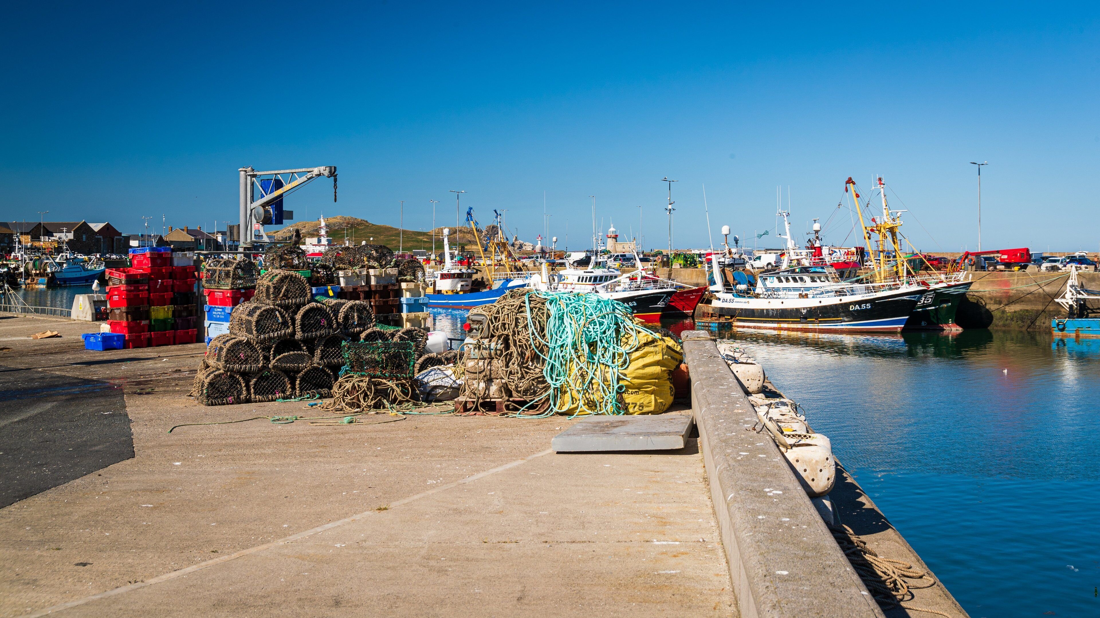 Howth showing a marina