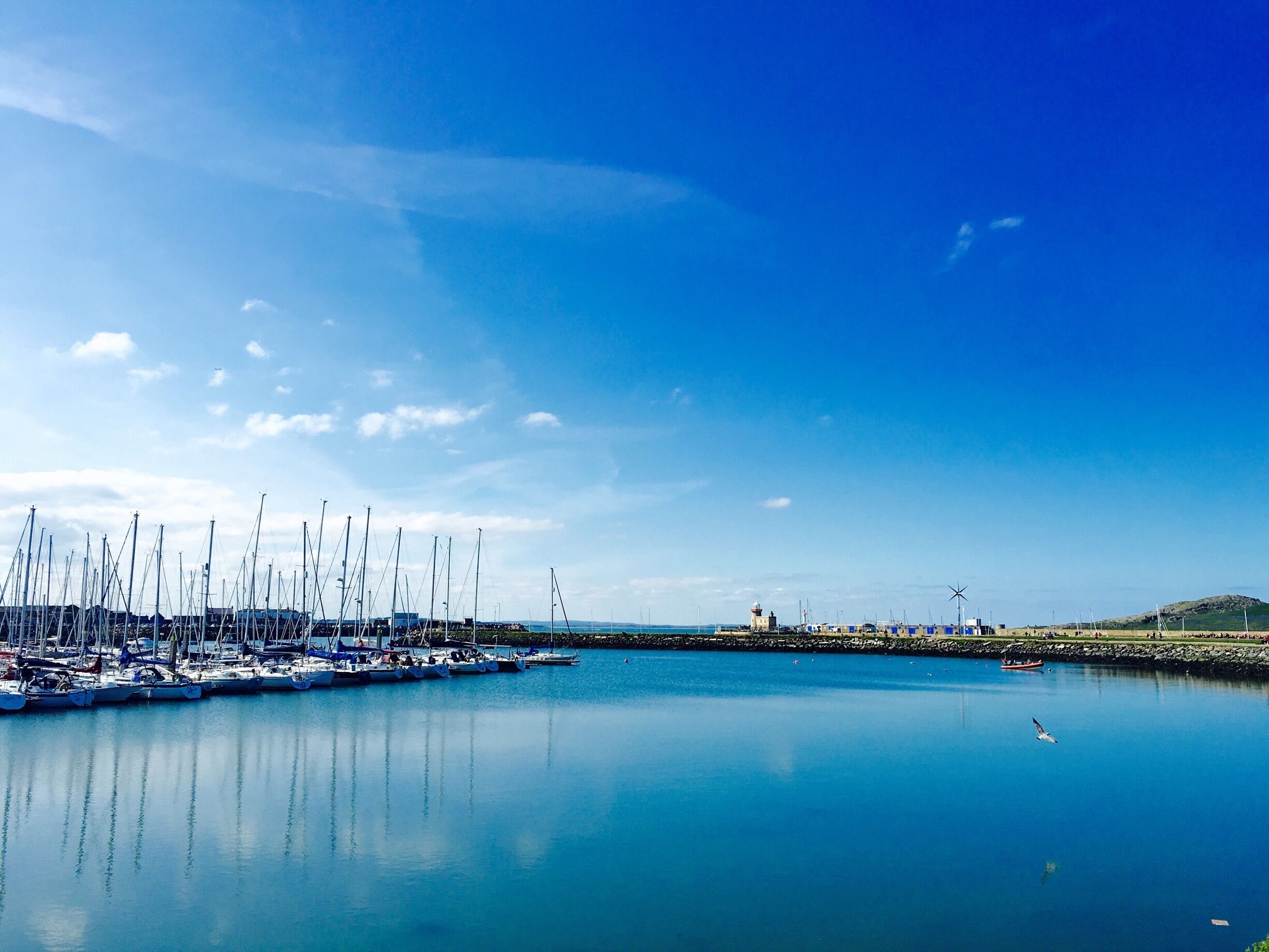 Eine Marina mit vielen angestaubten Segelbooten, ruhigem Wasser und blauem Himmel.