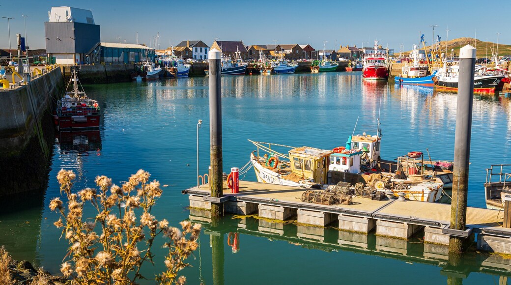 Howth featuring a bay or harbor
