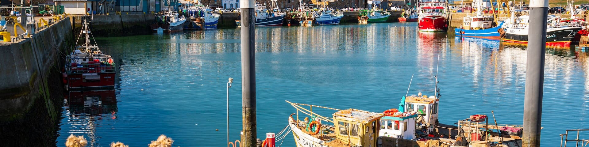 Howth featuring a bay or harbor