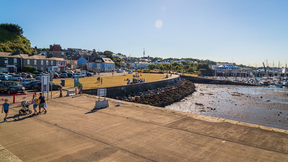Un pueblo costero con un puerto deportivo, coches aparcados y gente paseando por el paseo marítimo.