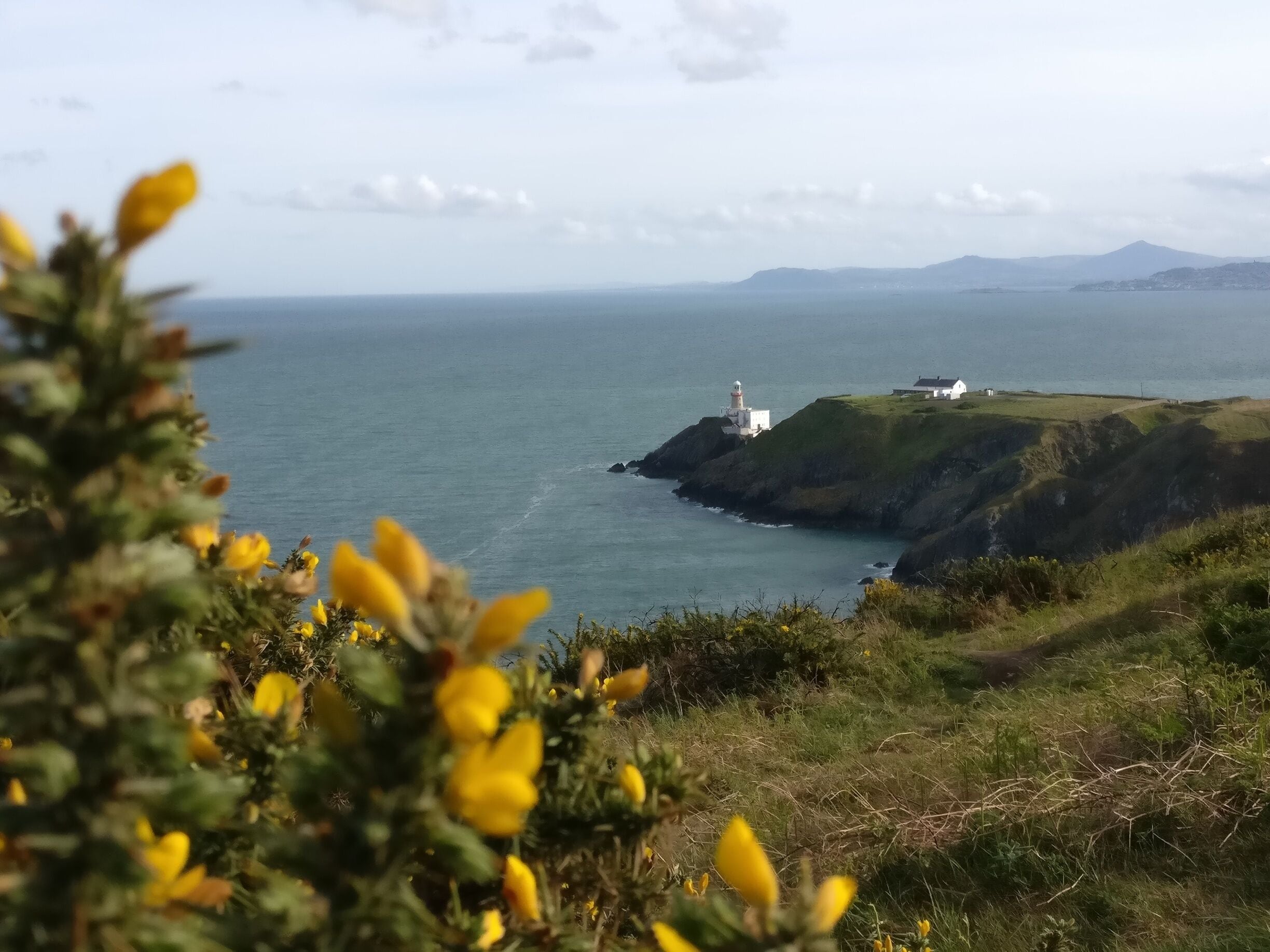 A coastal landscape with a lighthouse on a grassy cliff, overlooking the sea.