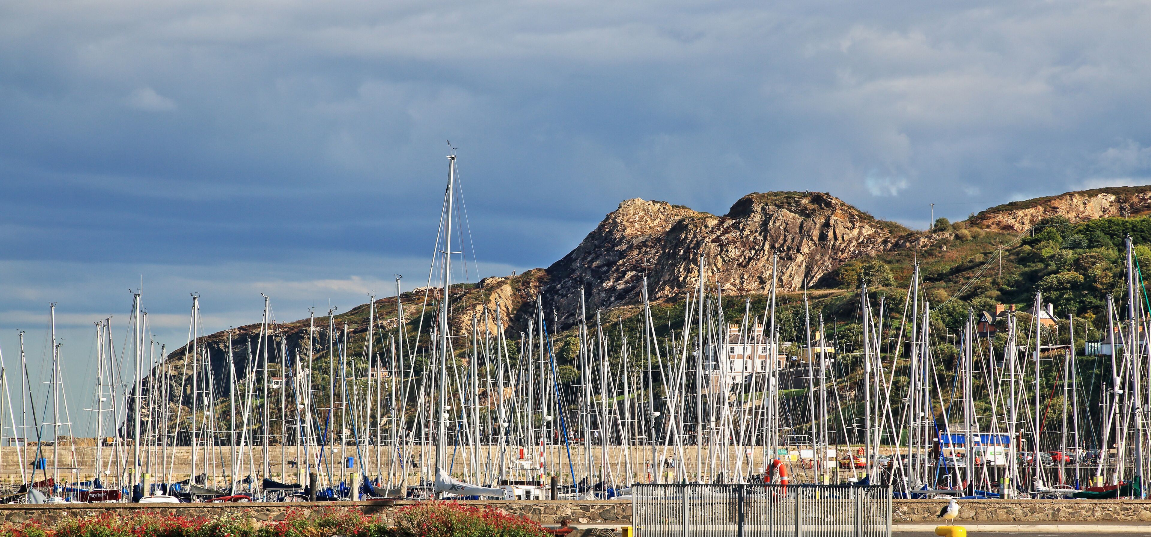 Hafen in Howth Harbour bei Dublin mit einer grossen Anzahl an Segelbooten