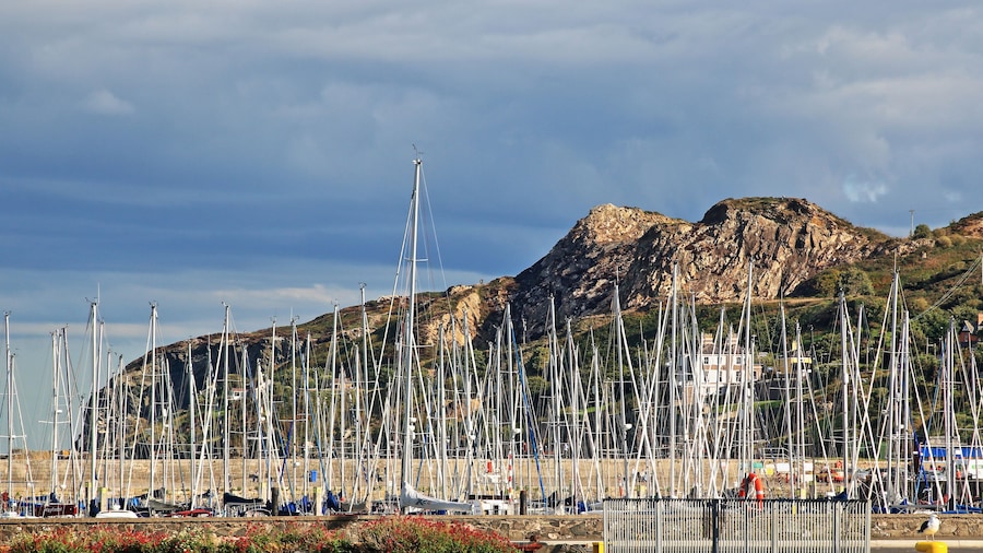 Hafen in Howth Harbour bei Dublin mit einer grossen Anzahl an Segelbooten