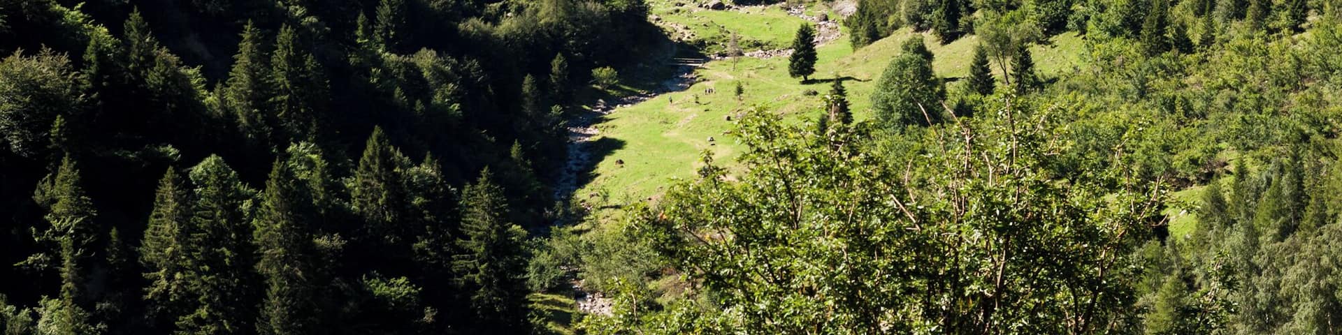 parco regionale delle Orobie Bergamasche (Q3895555)