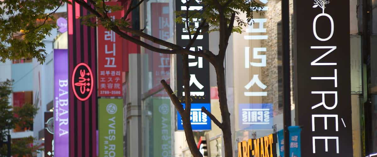 Myeongdong som omfatter en by, udsigt over byen og shopping