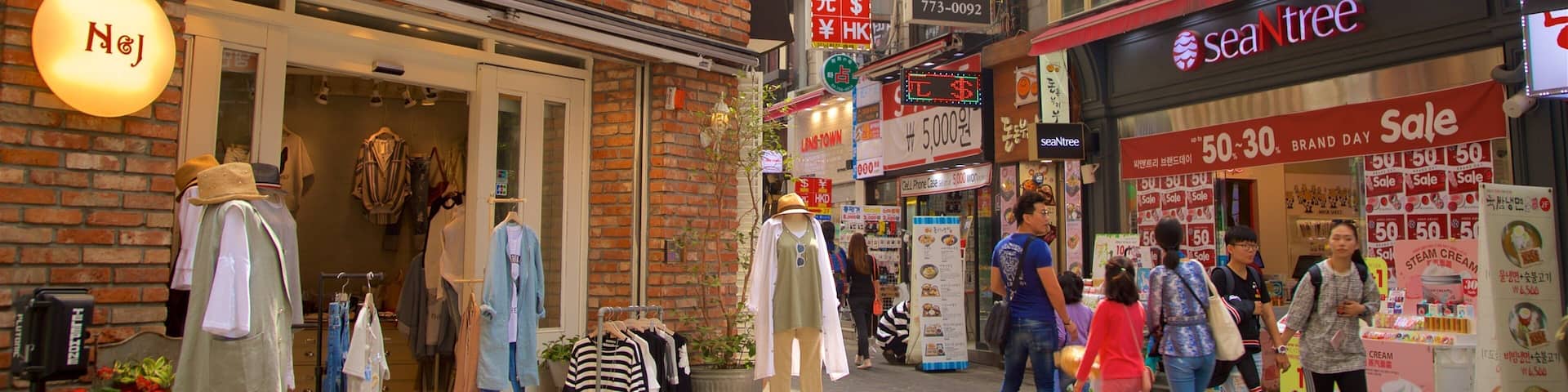Myeongdong featuring shopping as well as a small group of people