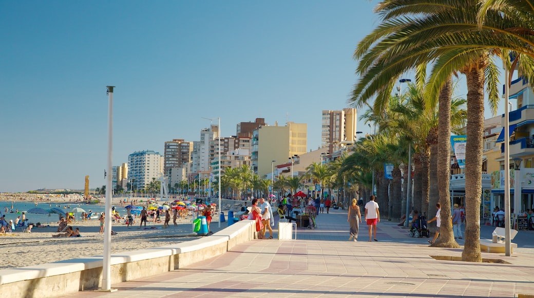 Plage de Campello mettant en vedette scĂšnes tropicales, ville cĂŽtiĂšre et plage de sable