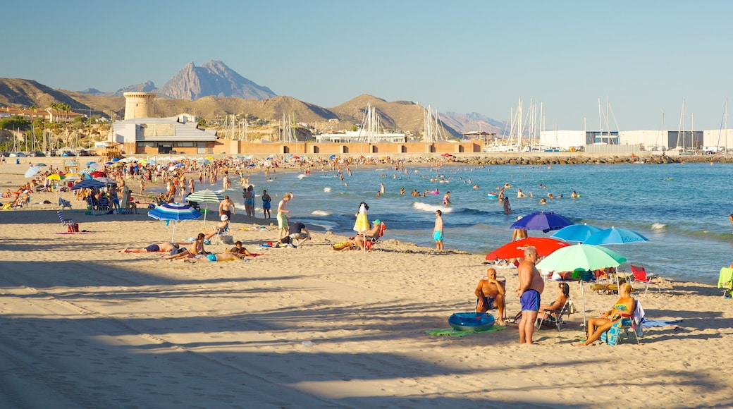 Plage de Campello montrant baignade, baie ou port et plage