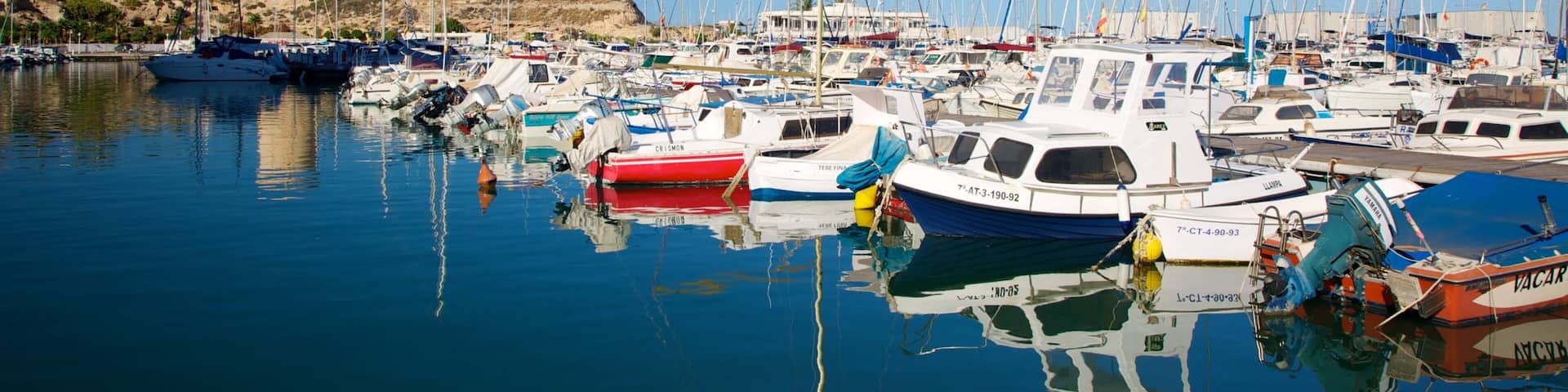 Campello Beach featuring a marina