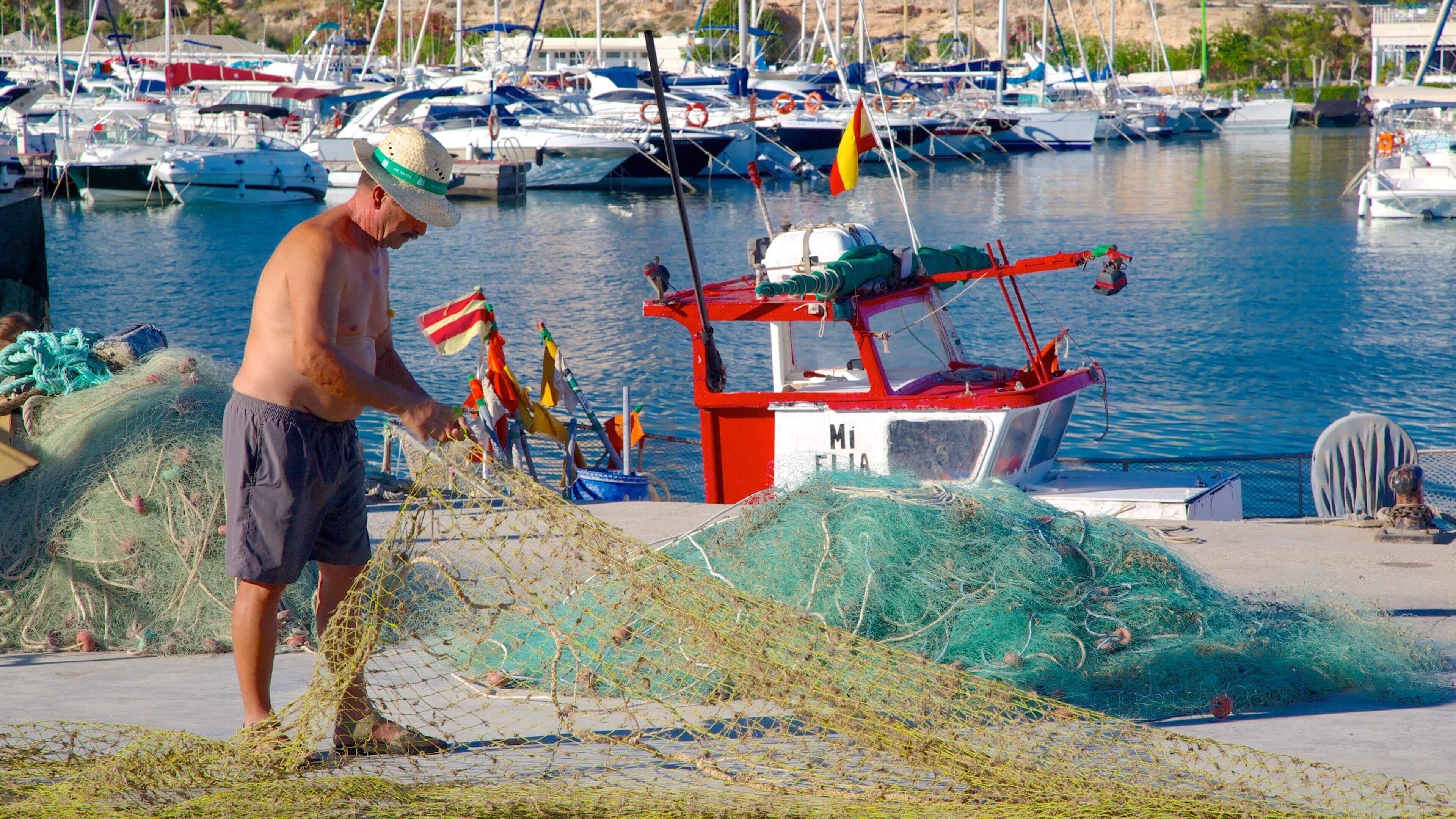Playa de El Campello ofreciendo una marina y también un hombre