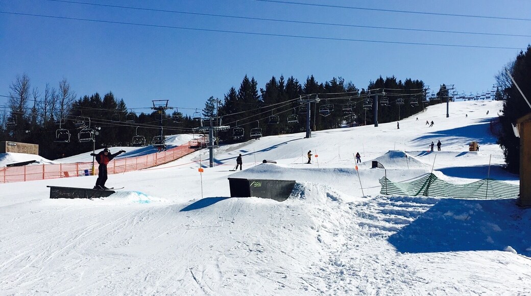 Very nice instructors, we had a great time there.