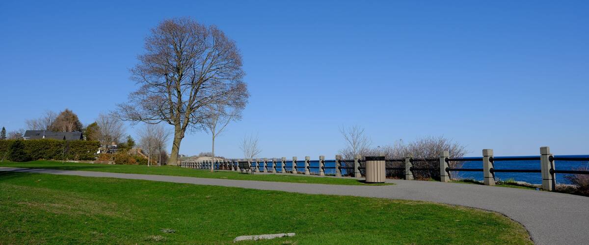 A park with a paved walkway, a large leafless tree, and a blue railing overlooking a body of water.