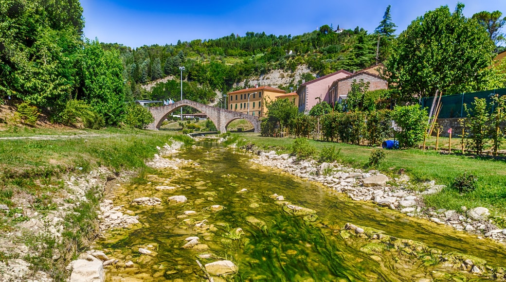 ๋ชจ๋๋ฆฌ์๋