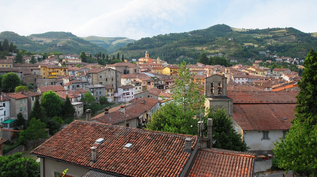 ๋ชจ๋๋ฆฌ์๋