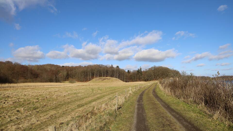 A rural landscape with a dirt path leading through a field, bordered by trees and a body of water.