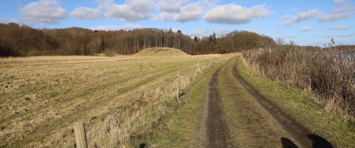 A rural landscape with a dirt path leading through a field, bordered by trees and a body of water.