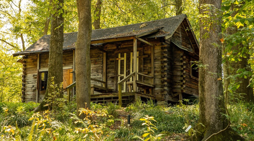 Museum of Arts and Sciences featuring a house and heritage elements