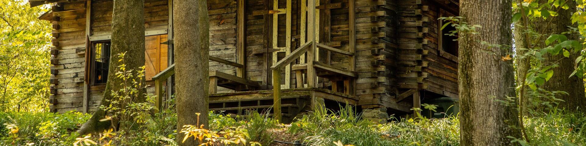 Museum of Arts and Sciences featuring a house and heritage elements