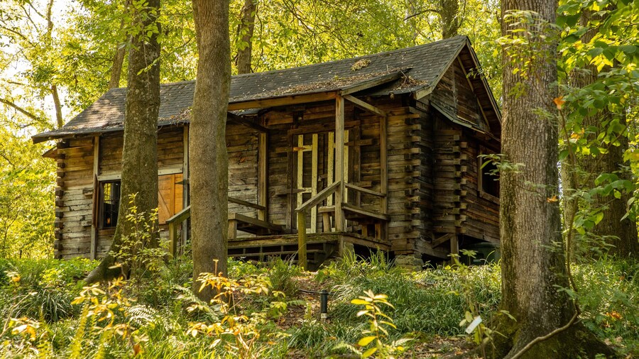 Museum of Arts and Sciences featuring a house and heritage elements