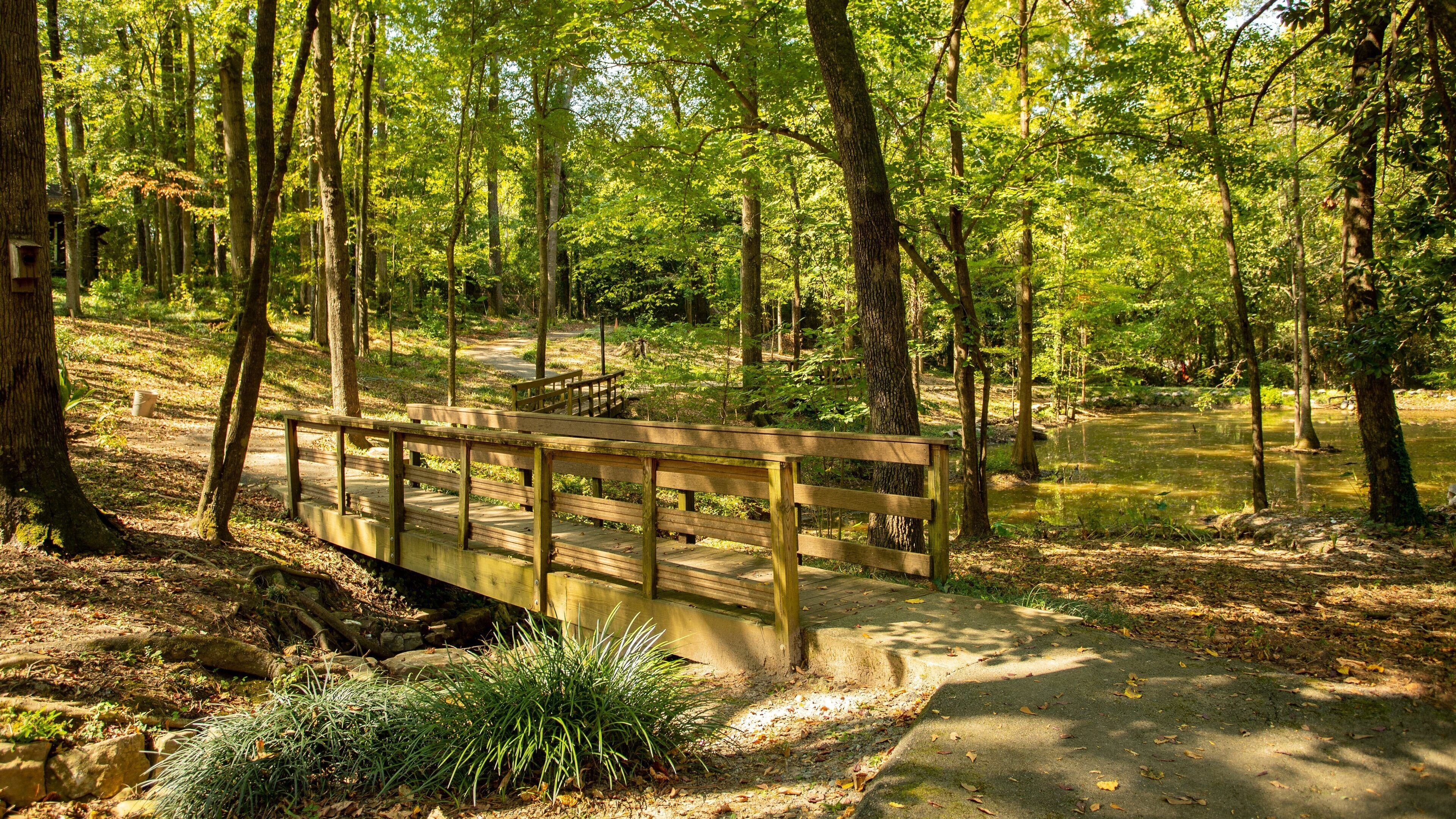 Museum of Arts and Sciences showing a bridge and a garden