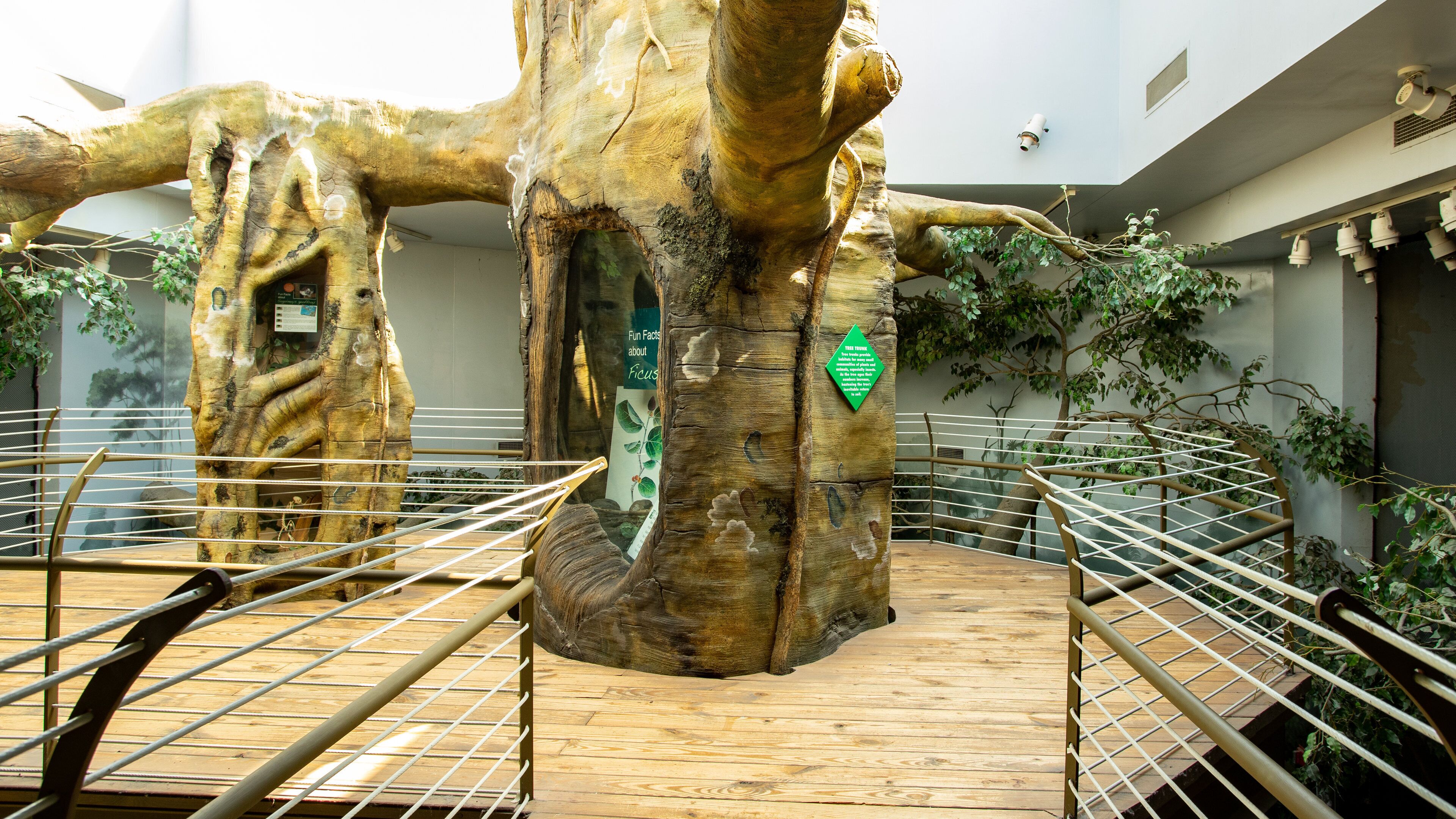 Museum of Arts and Sciences which includes interior views