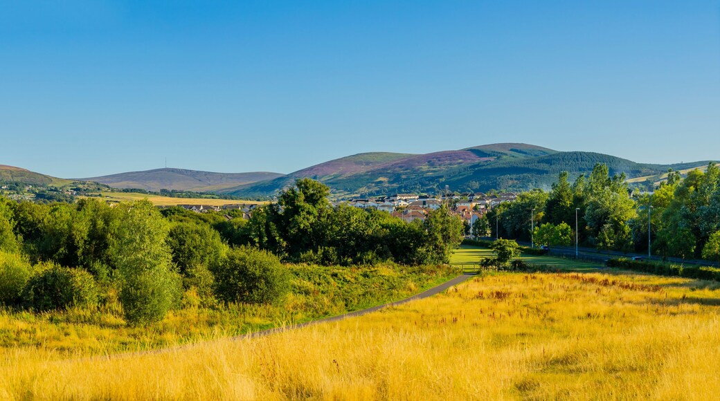 South Dublin Tallaght – view south towards Kiltipper