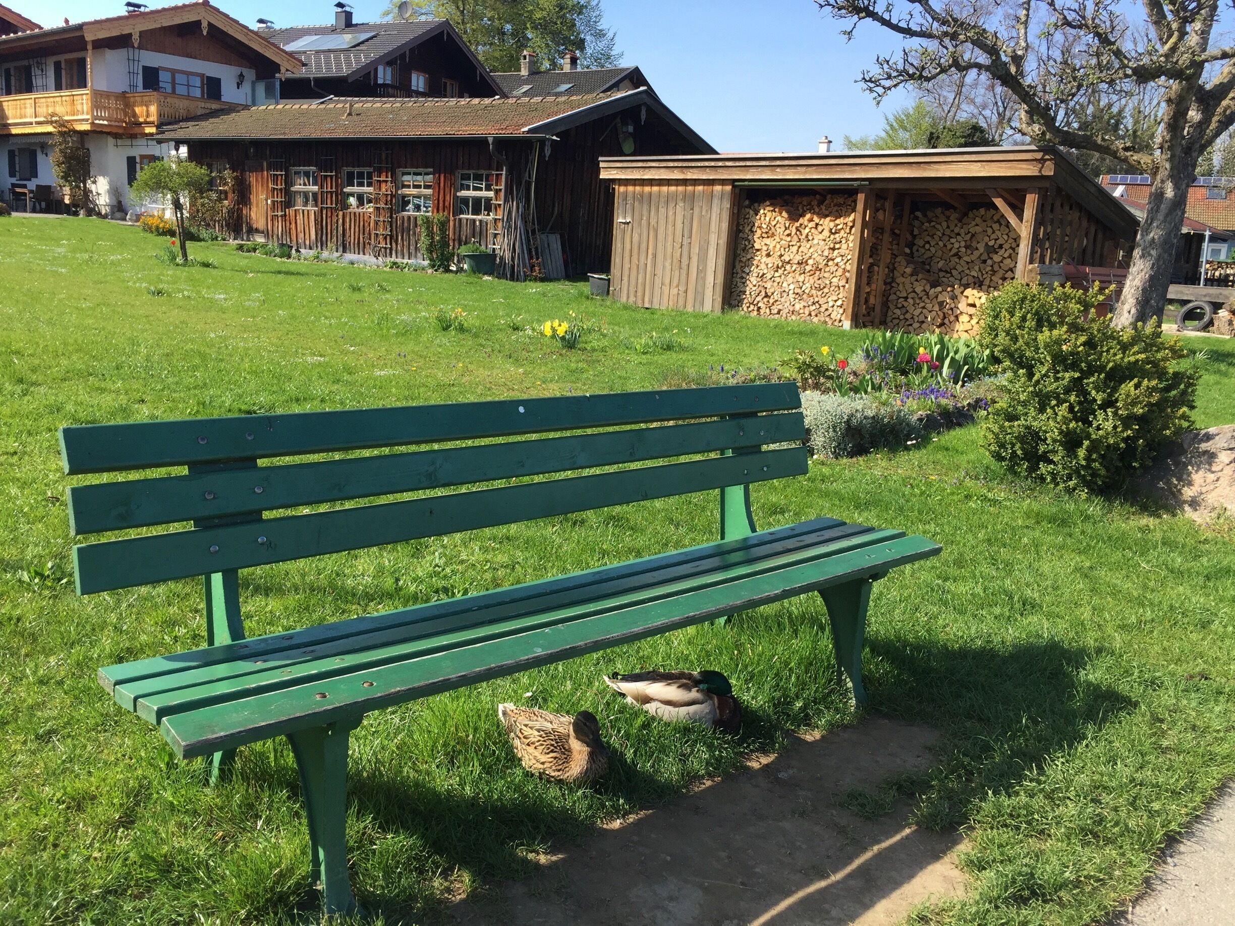 Sentiero degli Dei a.k.a the path of the gods begins from Bomerano (about an hour bus ride from Amalfi). You can hike down all the way to Positano (which is the town you see on the right of this picture) or the town of Nocelle and take a bus to Positano. One way or another, this hike is absolutely gorgeous and is only about a 3-4 hour hike. Highly recommend doing it on your visit of the Amalfi Coast! 