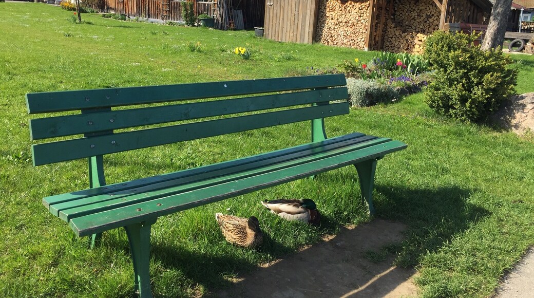 Sentiero degli Dei a.k.a the path of the gods begins from Bomerano (about an hour bus ride from Amalfi). You can hike down all the way to Positano (which is the town you see on the right of this picture) or the town of Nocelle and take a bus to Positano. One way or another, this hike is absolutely gorgeous and is only about a 3-4 hour hike. Highly recommend doing it on your visit of the Amalfi Coast!