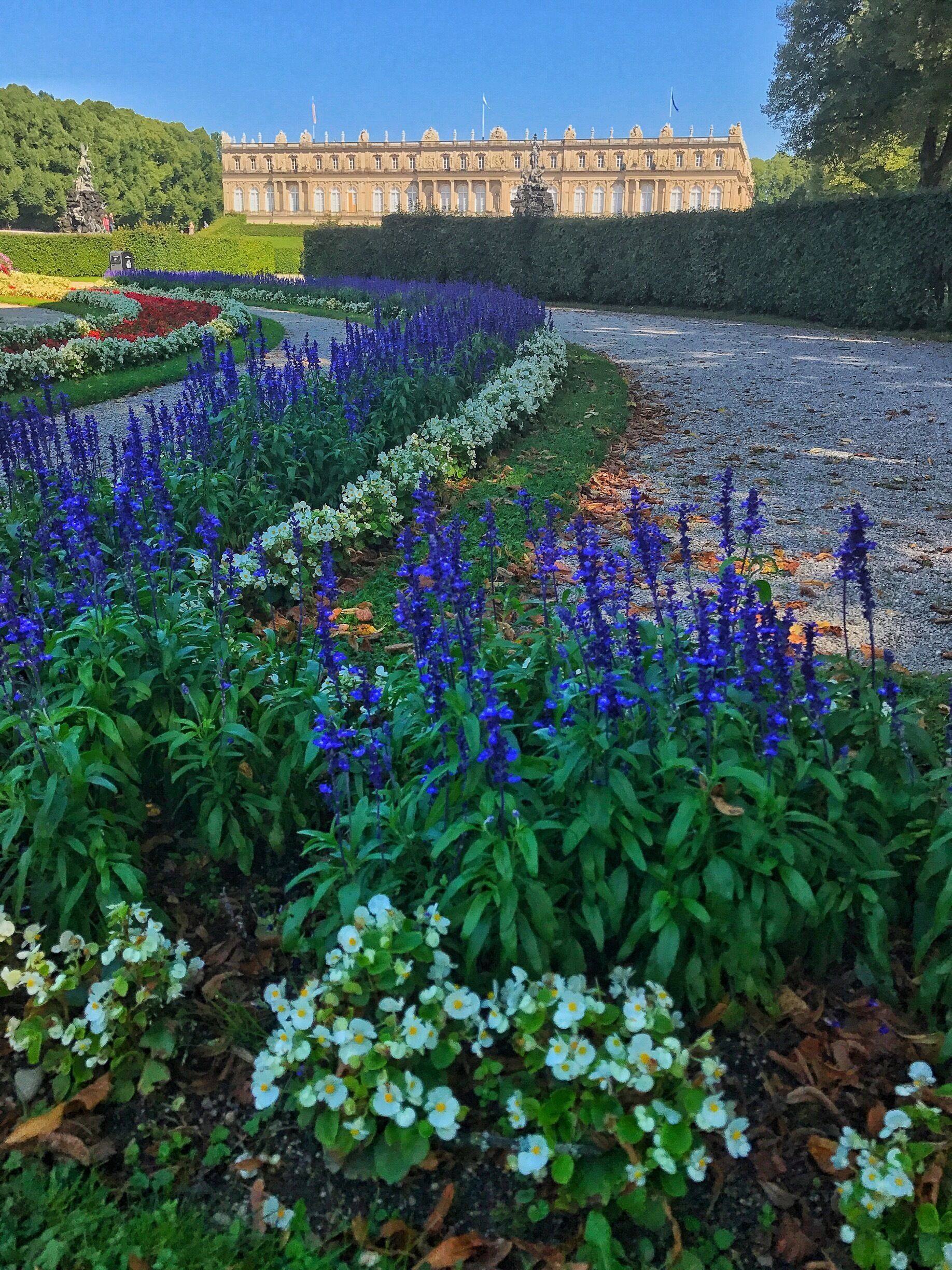 A view from the beautifully manicured grounds of the Herrenchiemsee Castle in Bavaria.
#architecture
