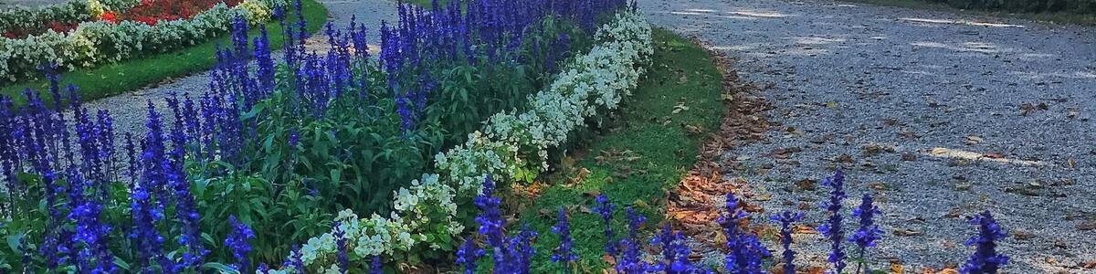 A view from the beautifully manicured grounds of the Herrenchiemsee Castle in Bavaria.
#architecture
