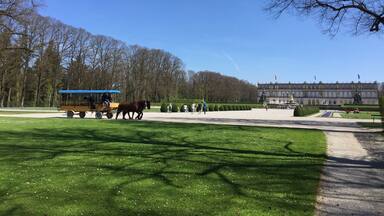 A horse-drawn carriage on a grassy path, a large building in the background, and leafless trees.