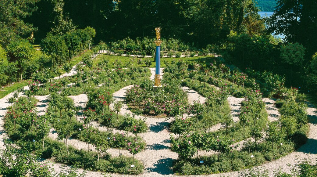 Rose Island showing a park and wildflowers