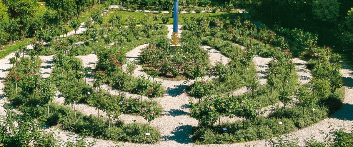 Rose Island showing a park and wildflowers