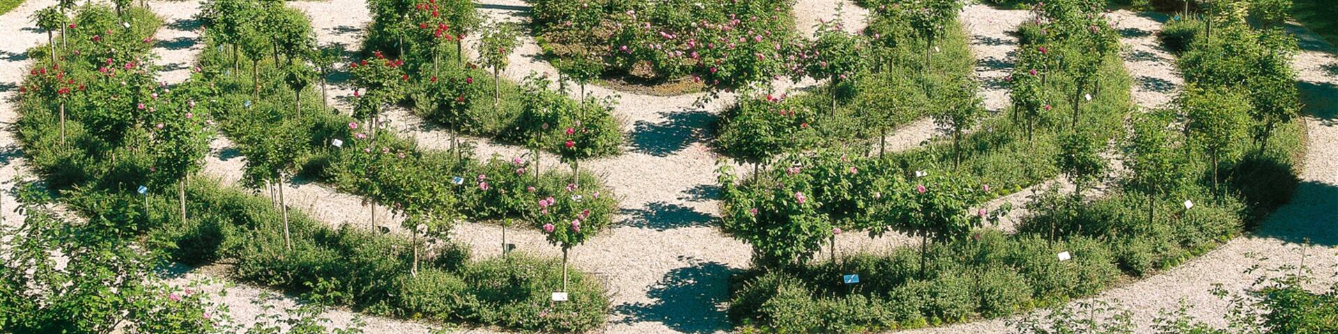 Rose Island showing a park and wildflowers