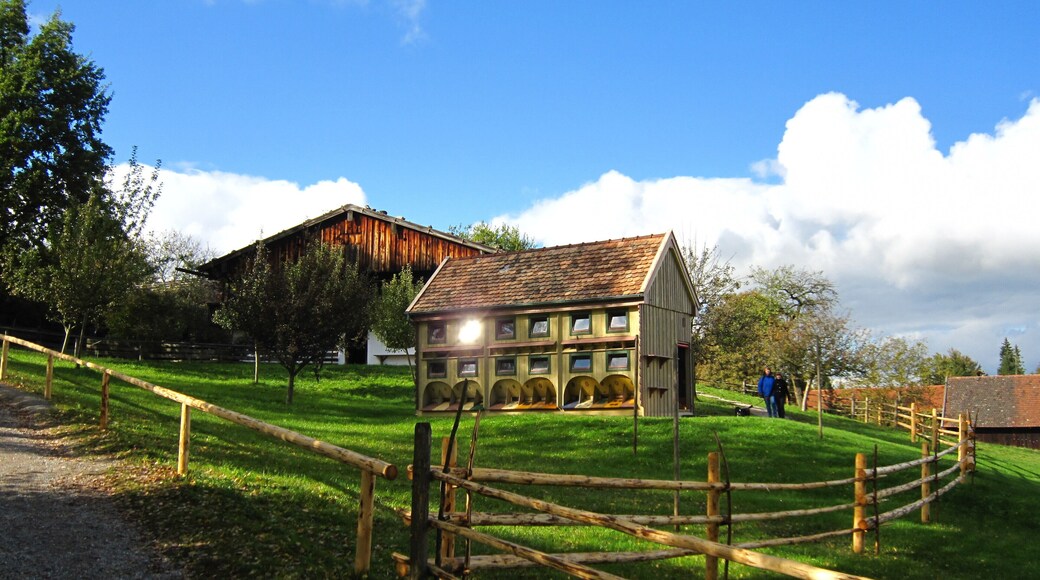 Freilichtmuseum Glentleiten Nr. 13c: Bienenhaus auf Hohenpeißenberg, erbaut 1910