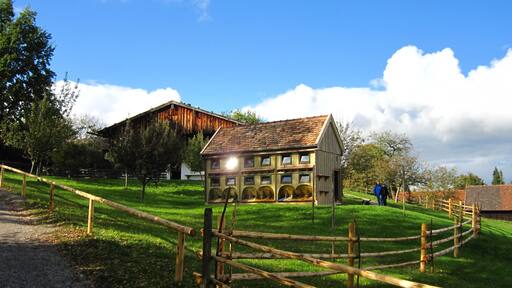 Freilichtmuseum Glentleiten Nr. 13c: Bienenhaus auf Hohenpeißenberg, erbaut 1910