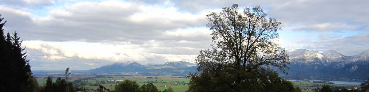 Un paysage rural avec un grand arbre, un moulin à vent et des montagnes en arrière-plan.
