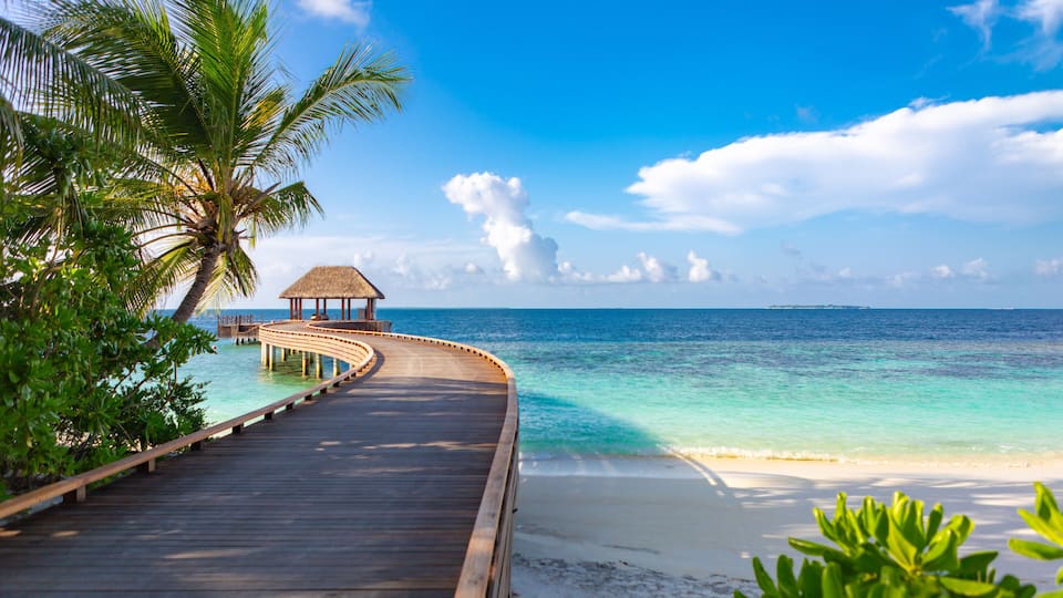 A wooden pier leading to a thatched hut on a tropical beach with clear turquoise waters and palm trees.