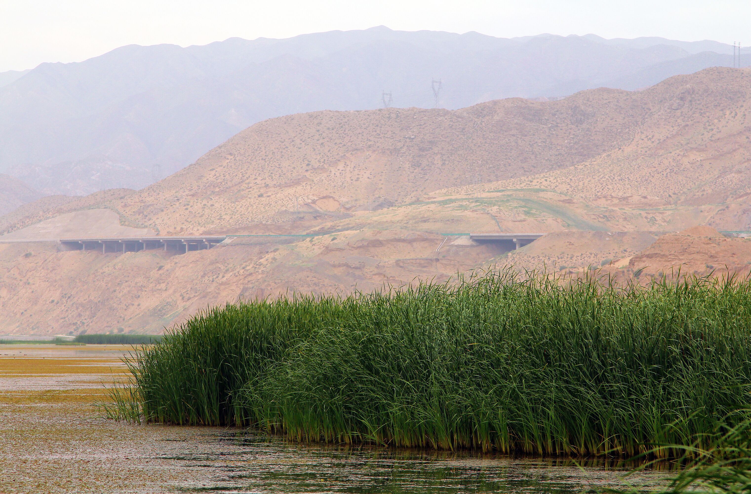 Yellow river (Huang He) in Tengger desert, Shapotou district, China