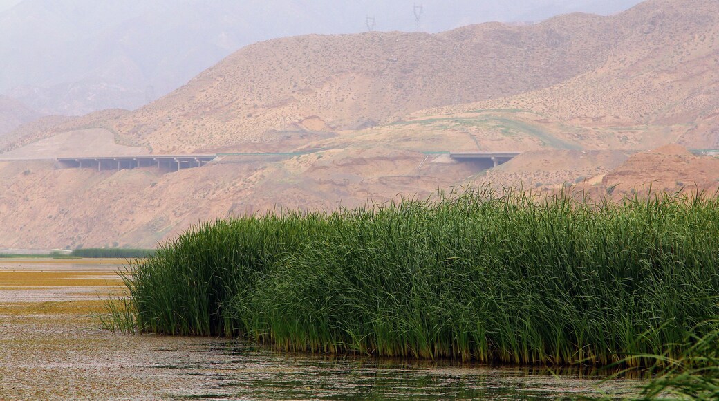 Yellow river (Huang He) in Tengger desert, Shapotou district, China