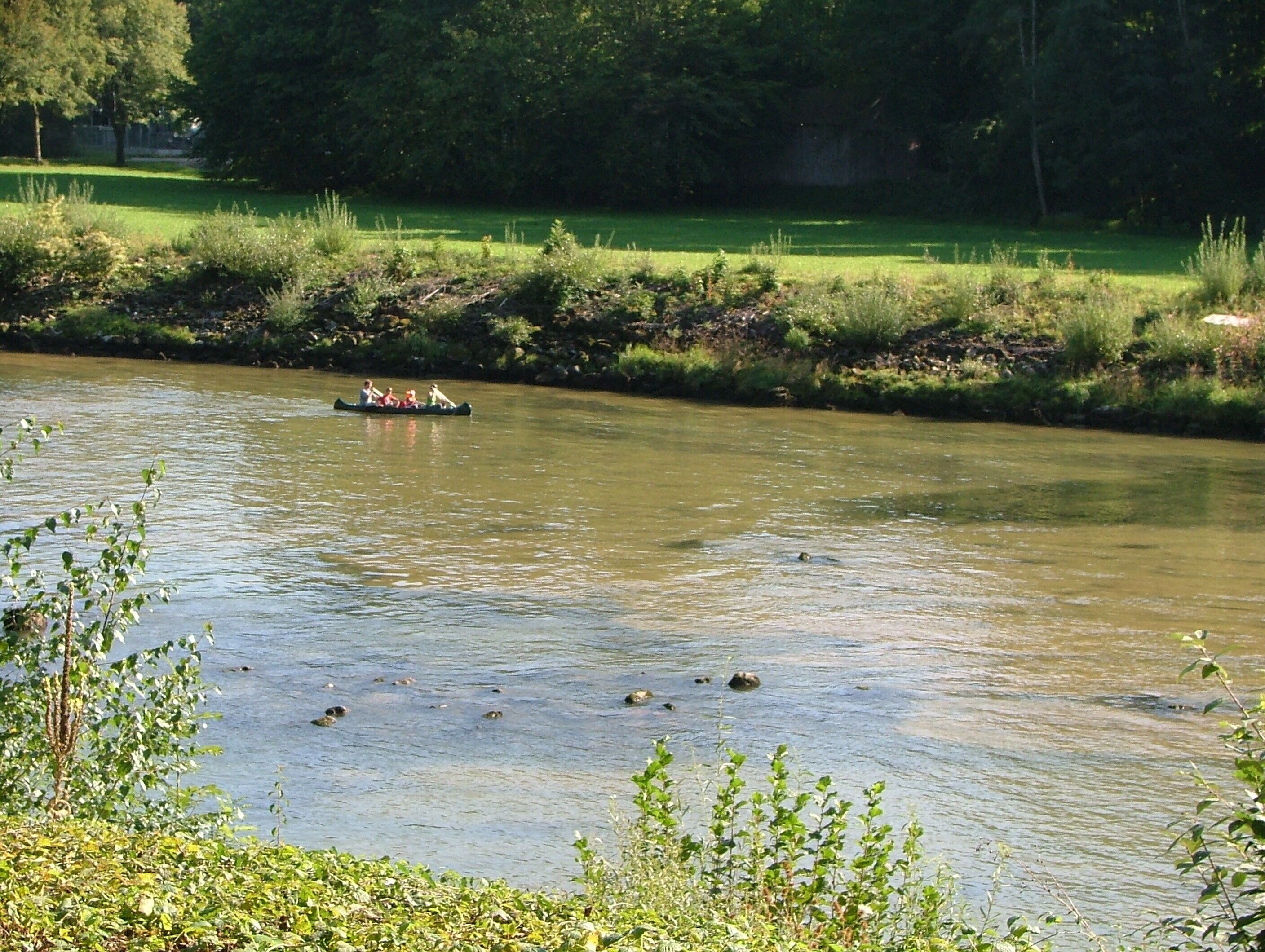 A river with a canoe, surrounded by greenery and trees.