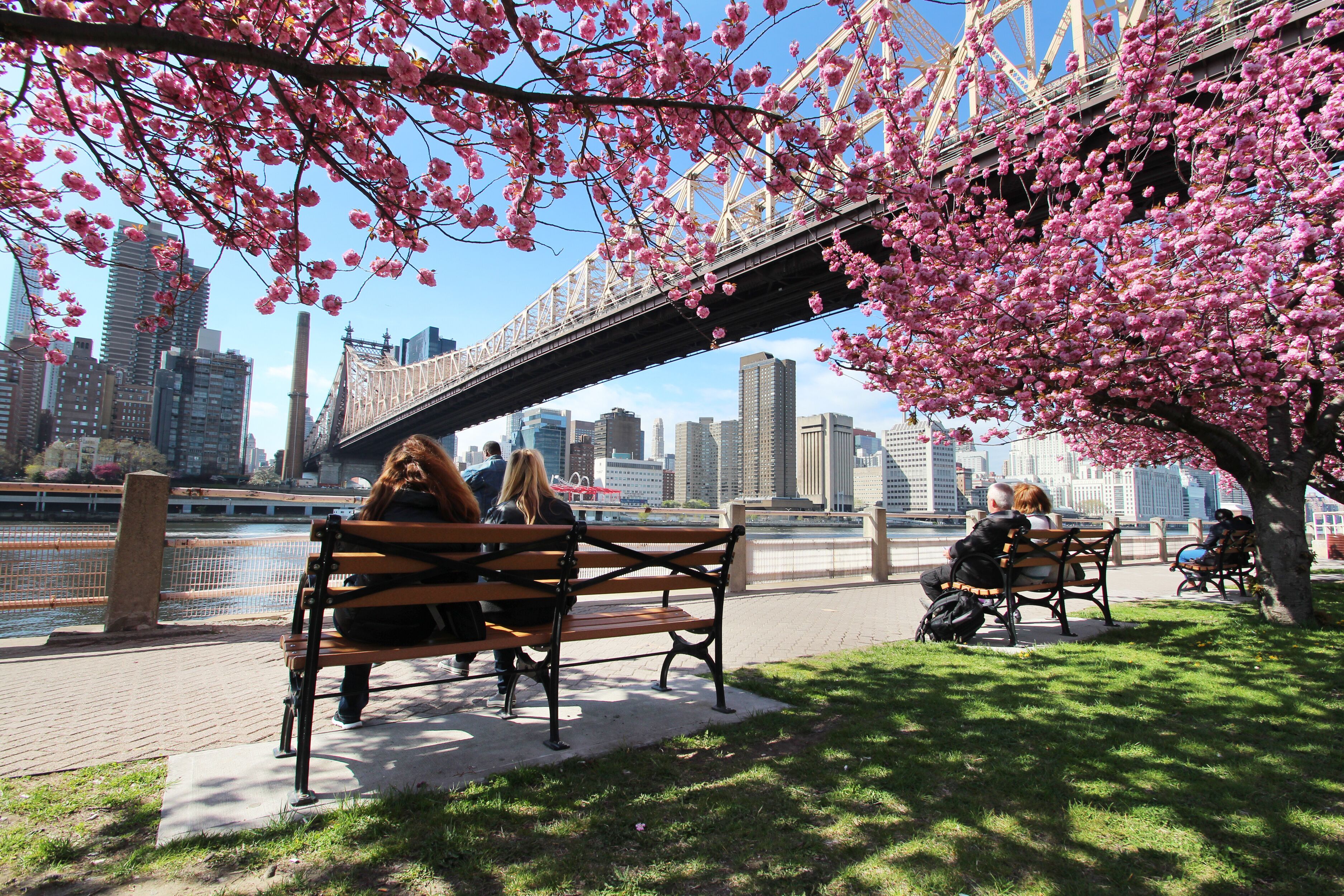 Roosevelt Island