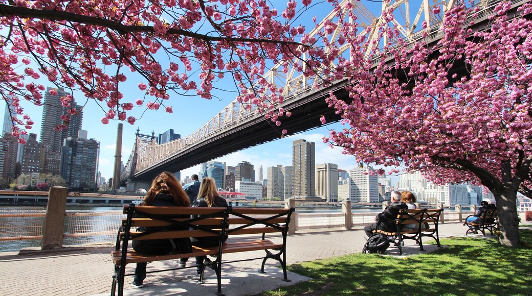 Roosevelt Island