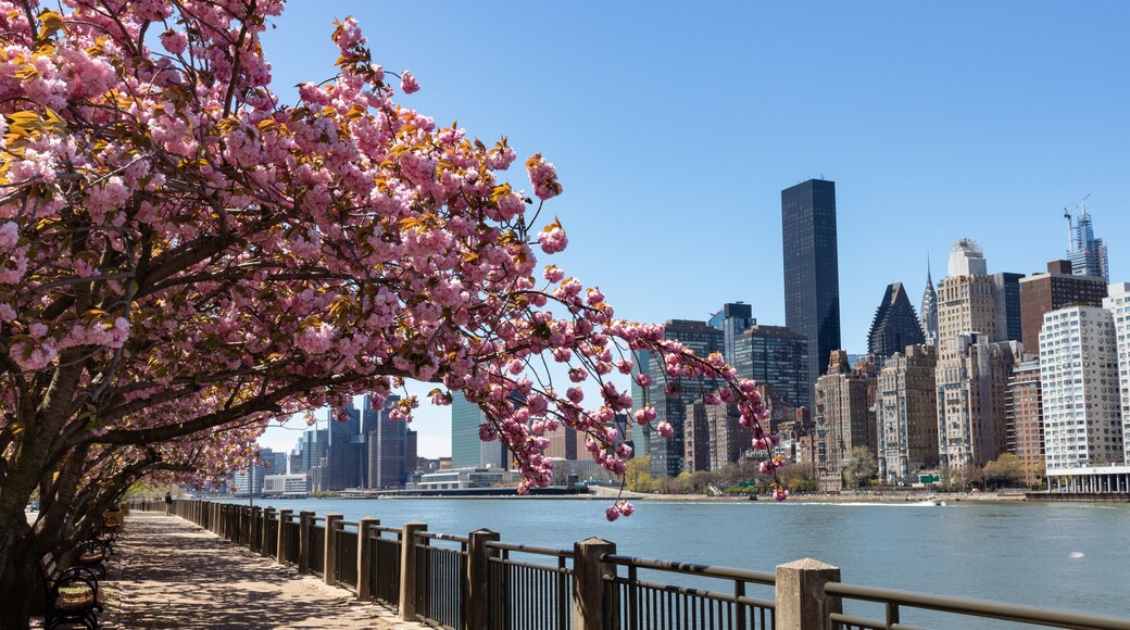 Roosevelt Island