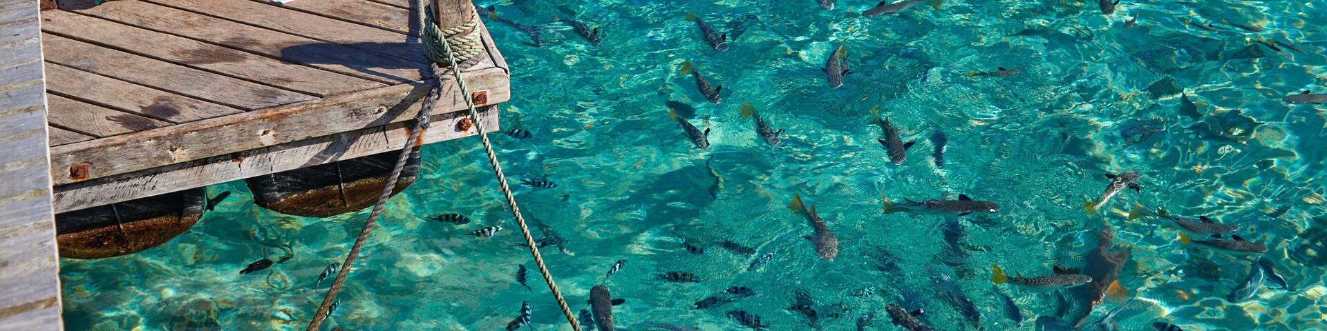 Aore-ön presenterar havsdjur och en sjö eller ett vattenhÄl sÄvÀl som ett barn