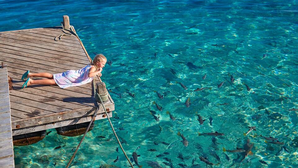 A wooden pier extending into clear turquoise water, with a person lying on it.