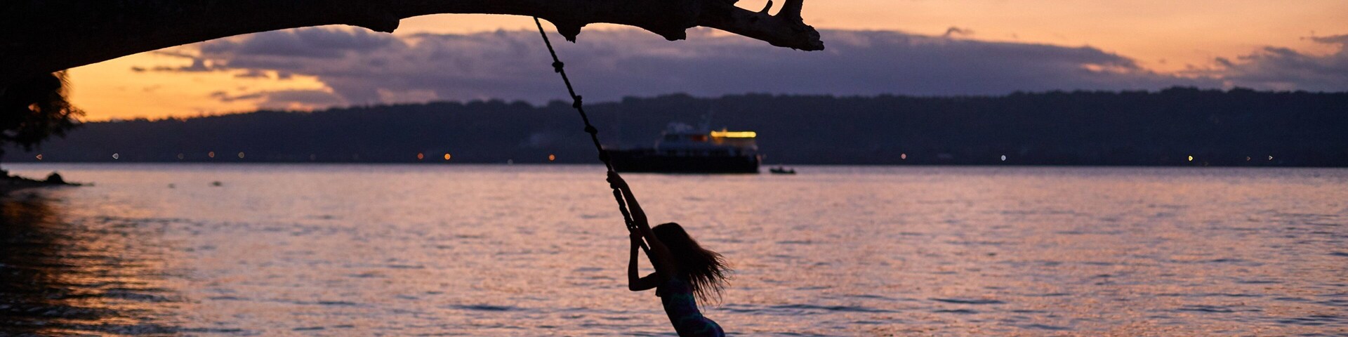 Una persona se balancea en un columpio sobre un cuerpo de agua al atardecer.