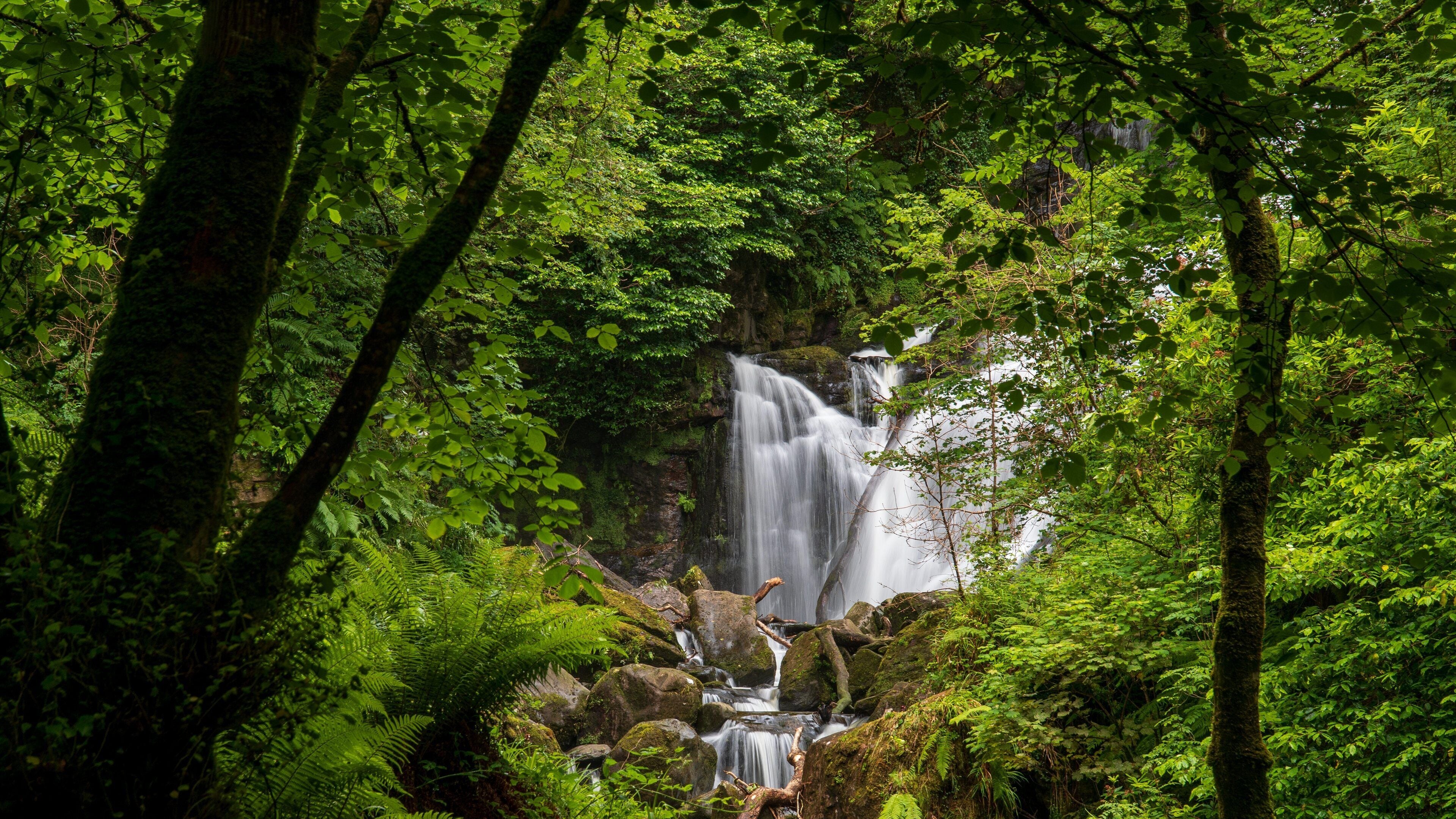 Torc Waterfall which includes forest scenes and a cascade